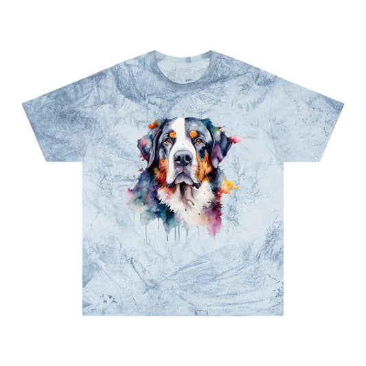 Greater Swiss Mountain Dog 3 Unisex Color Blast T-Shirt
