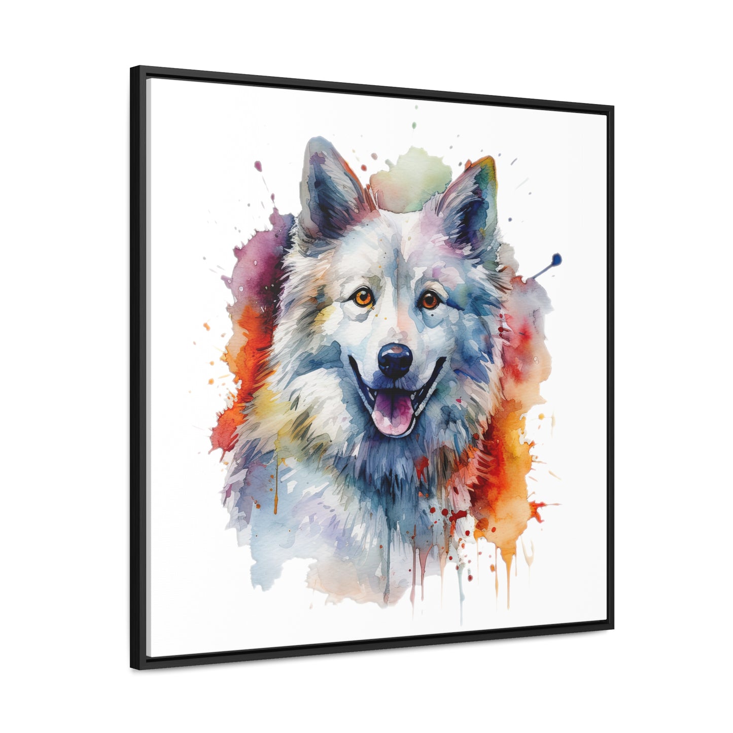 American Eskimo Dog 3 Gallery Canvas Wraps, Square Frame