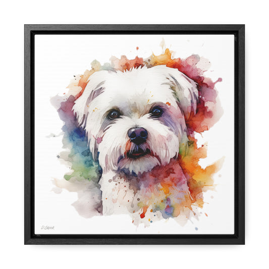 Maltese Dog 2 Gallery Canvas Wraps, Square Frame