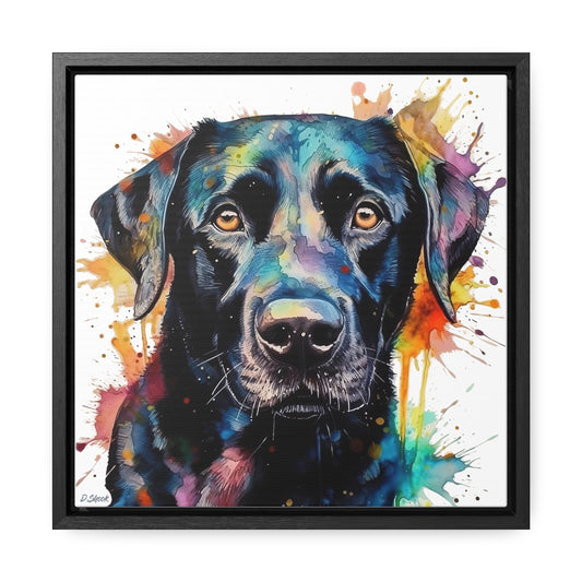 Black Lab 1 Gallery Canvas Wraps, Square Frame