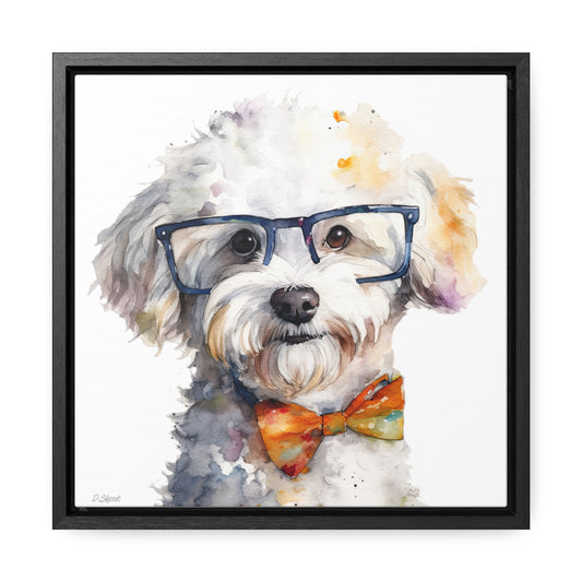 Bichon Frise 4 Gallery Canvas Wraps, Square Frame