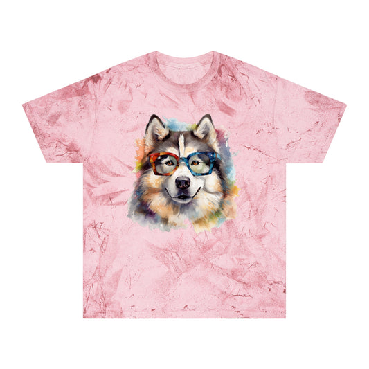 Alaskan Malamute 5 Unisex Color Blast T-Shirt