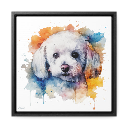 Bichon Frise 3 Gallery Canvas Wraps, Square Frame