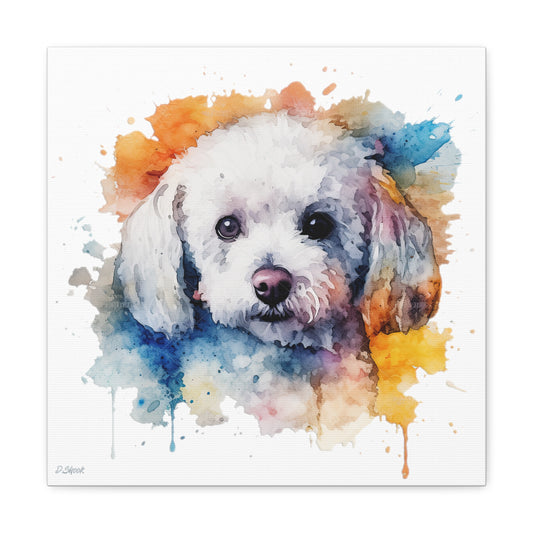 Bichon Frise 3 Canvas Gallery Wraps