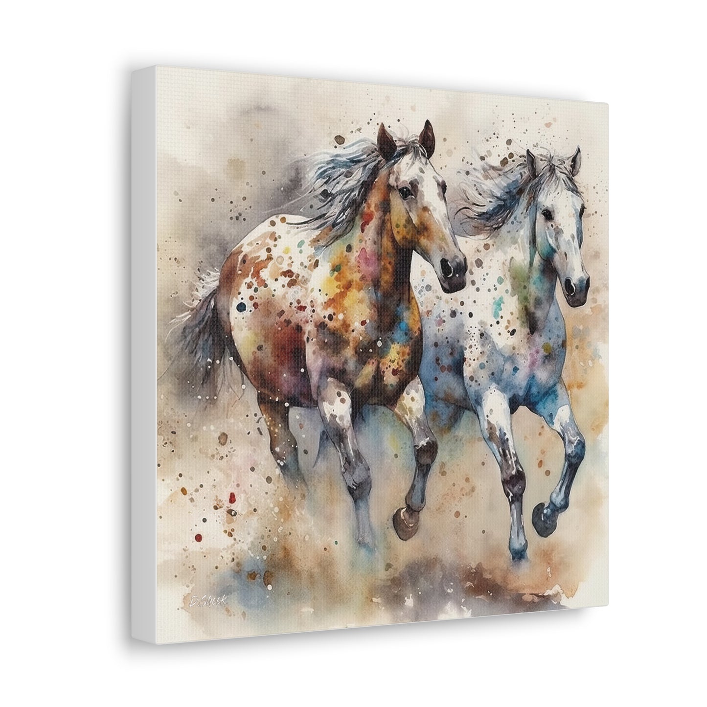 Wild Appaloosa Horses Canvas Gallery Wraps