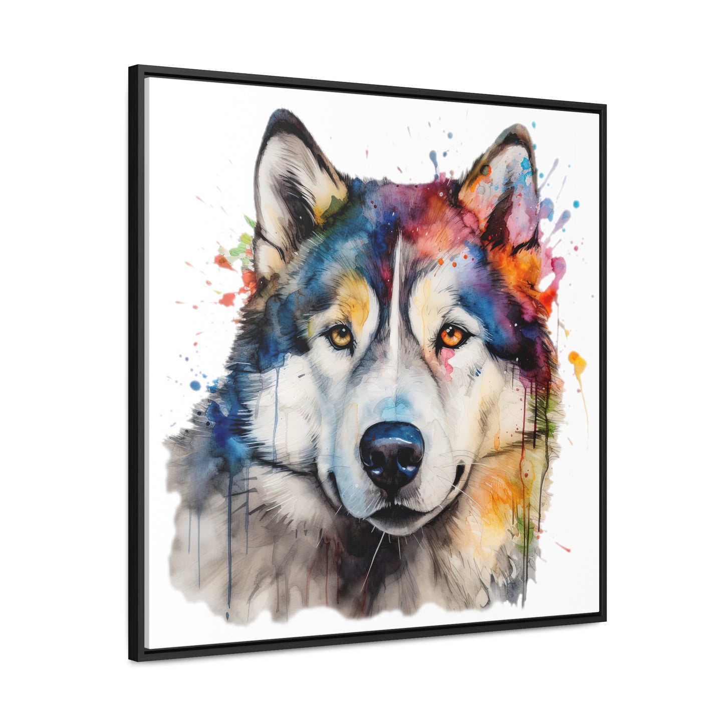Alaskan Malamute 3 Gallery Canvas Wraps, Square Frame