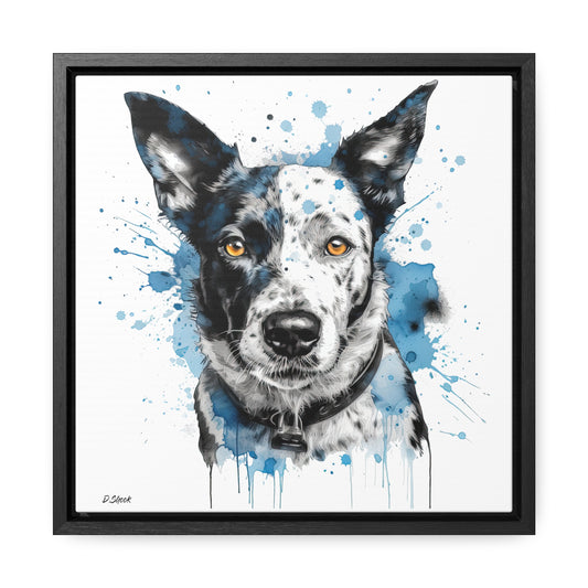 Blue Heeler 3 Gallery Canvas Wraps, Square Frame