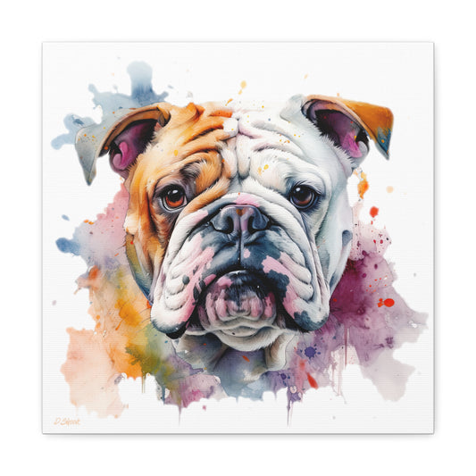 bulldog 1 Canvas Gallery Wraps