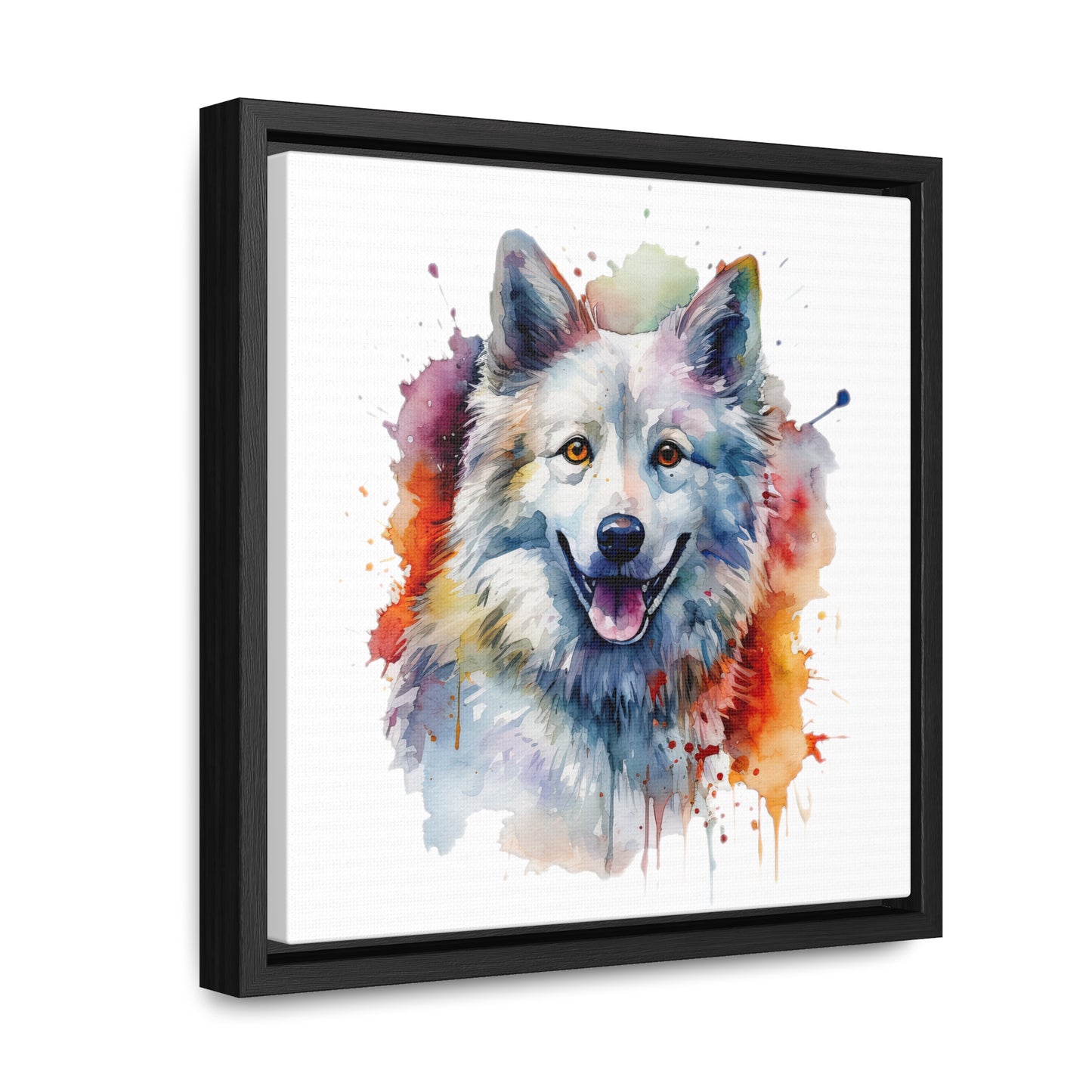 American Eskimo Dog 3 Gallery Canvas Wraps, Square Frame