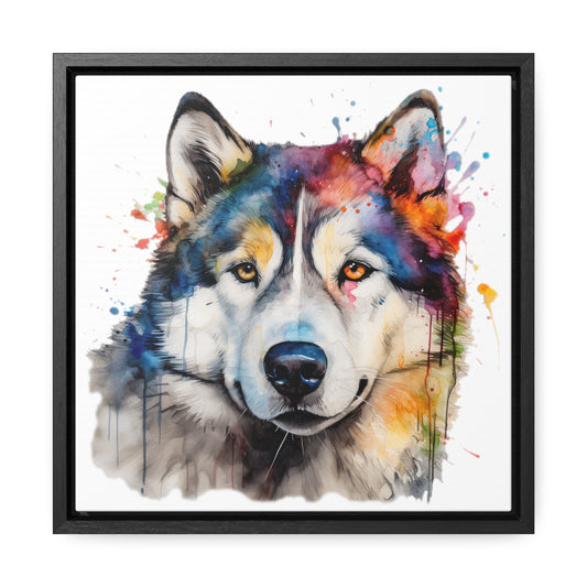 Alaskan Malamute 3 Gallery Canvas Wraps, Square Frame