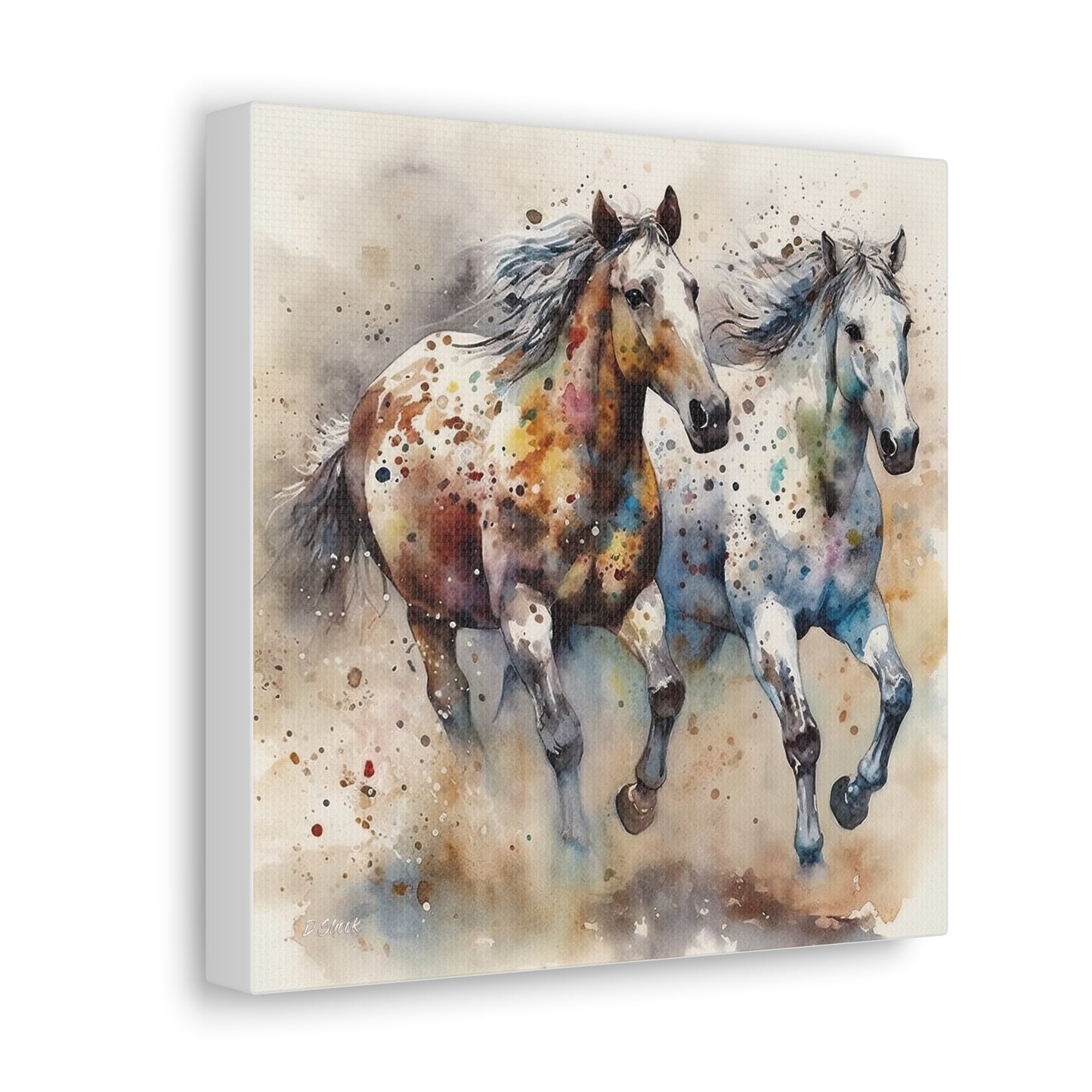 Wild Appaloosa Horses Canvas Gallery Wraps