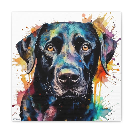 Black Lab 1 Canvas Gallery Wraps