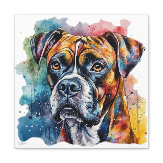 Boxer 3 Canvas Gallery Wraps