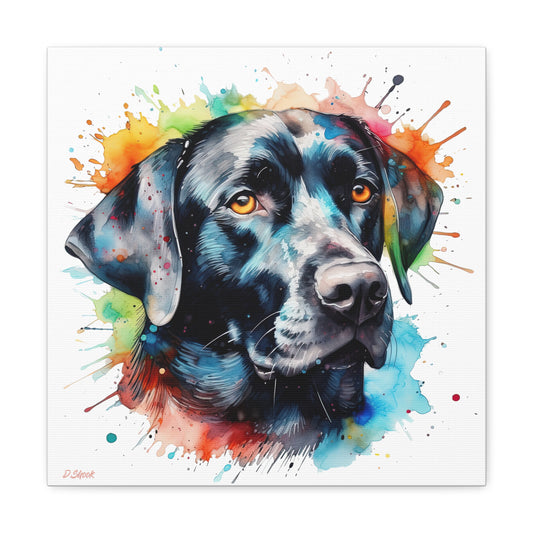Black Lab 5 Canvas Gallery Wraps
