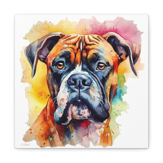 Boxer 1 Canvas Gallery Wraps