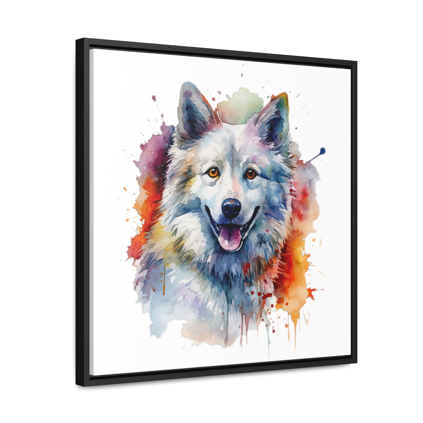 American Eskimo Dog 3 Gallery Canvas Wraps, Square Frame