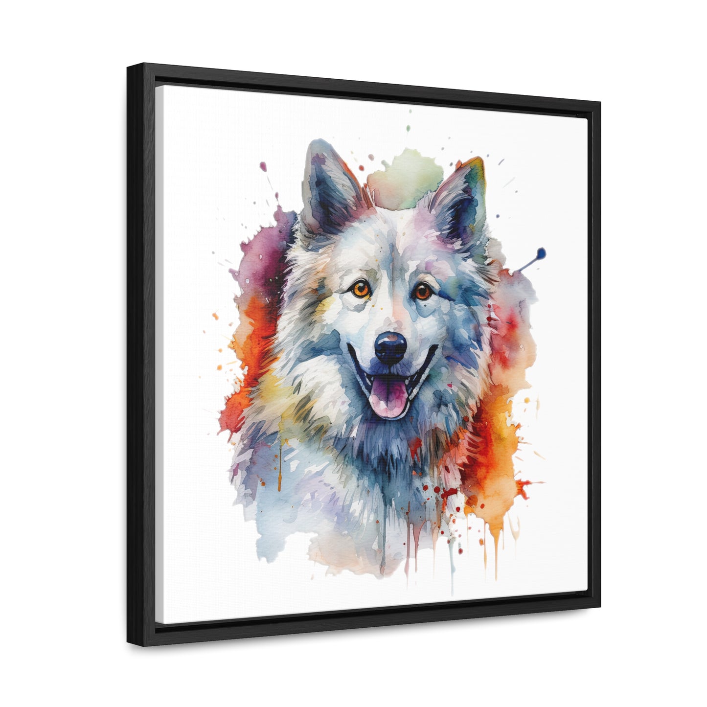 American Eskimo Dog 3 Gallery Canvas Wraps, Square Frame