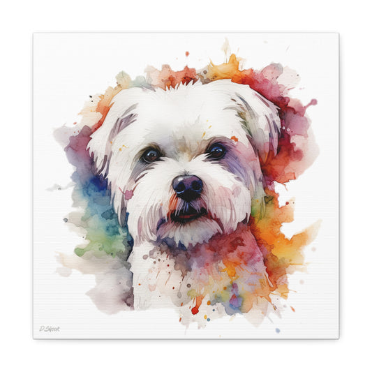 Maltese Dog 2 Canvas Gallery Wraps