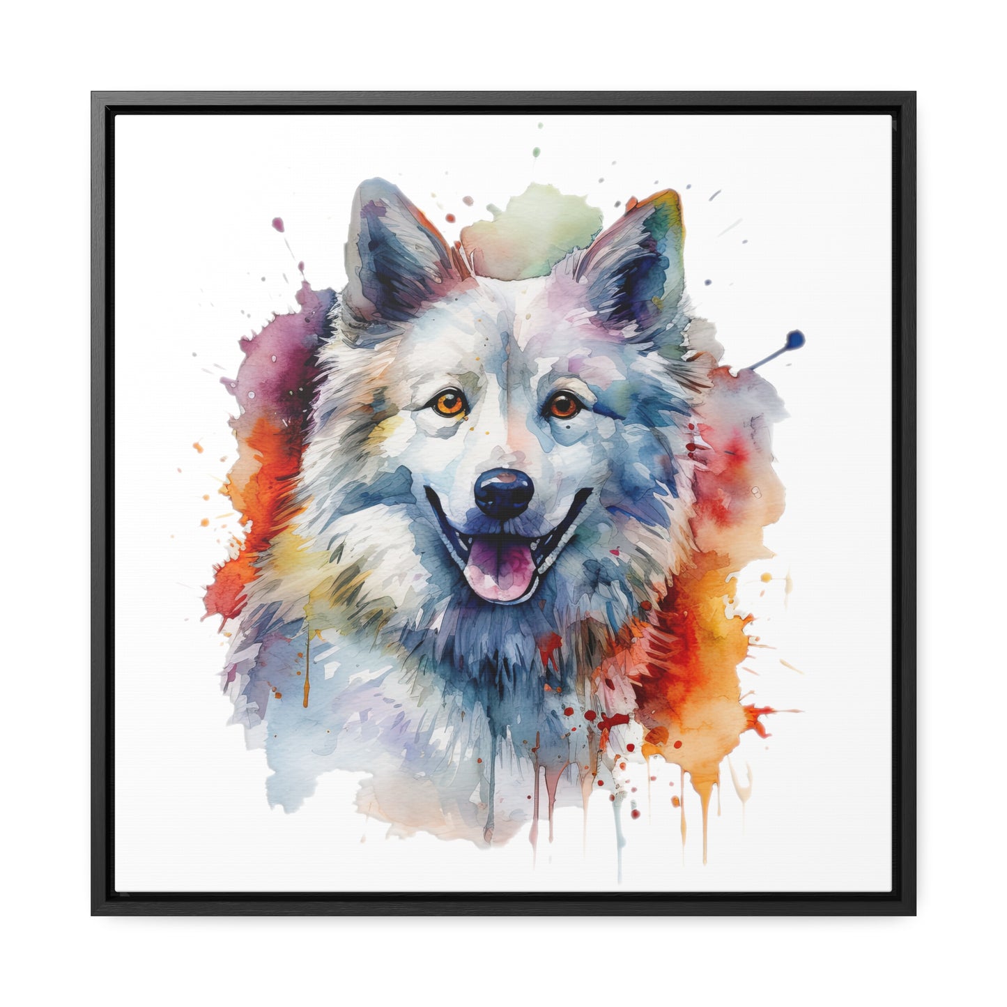 American Eskimo Dog 3 Gallery Canvas Wraps, Square Frame