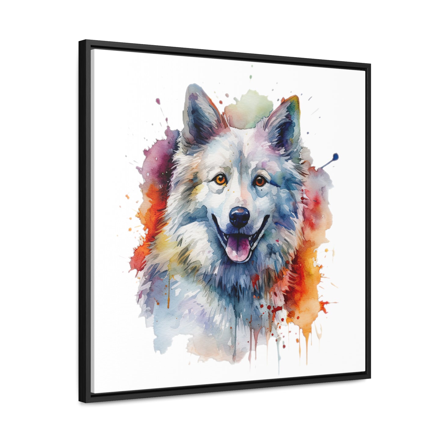American Eskimo Dog 3 Gallery Canvas Wraps, Square Frame
