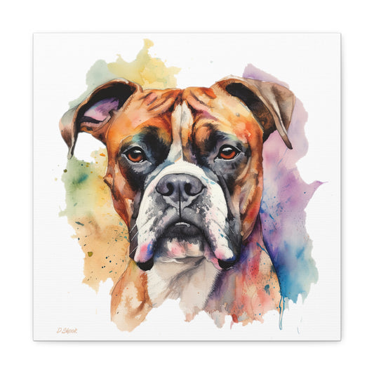 Boxer 2 Canvas Gallery Wraps