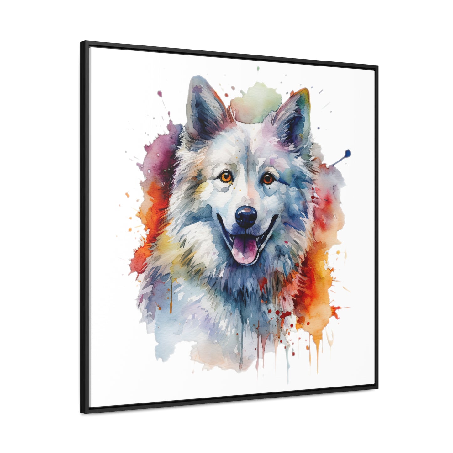 American Eskimo Dog 3 Gallery Canvas Wraps, Square Frame
