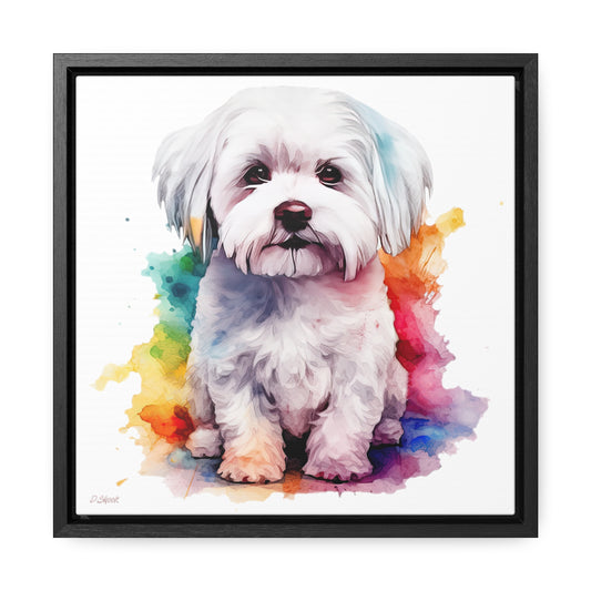 Maltese Dog 3 Gallery Canvas Wraps, Square Frame