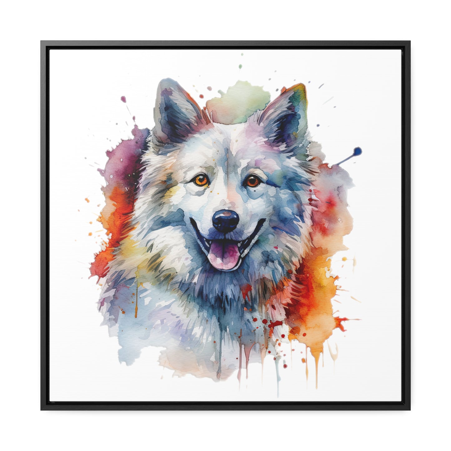 American Eskimo Dog 3 Gallery Canvas Wraps, Square Frame