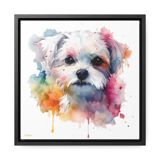 Maltese Dog 1 Gallery Canvas Wraps, Square Frame