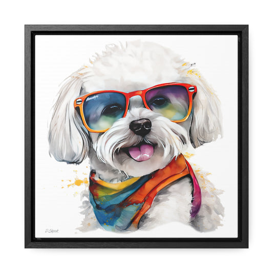 Bichon Frise 5 Gallery Canvas Wraps, Square Frame
