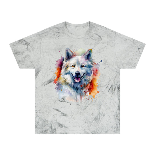 American Eskimo Dog 3 Unisex Color Blast T-Shirt