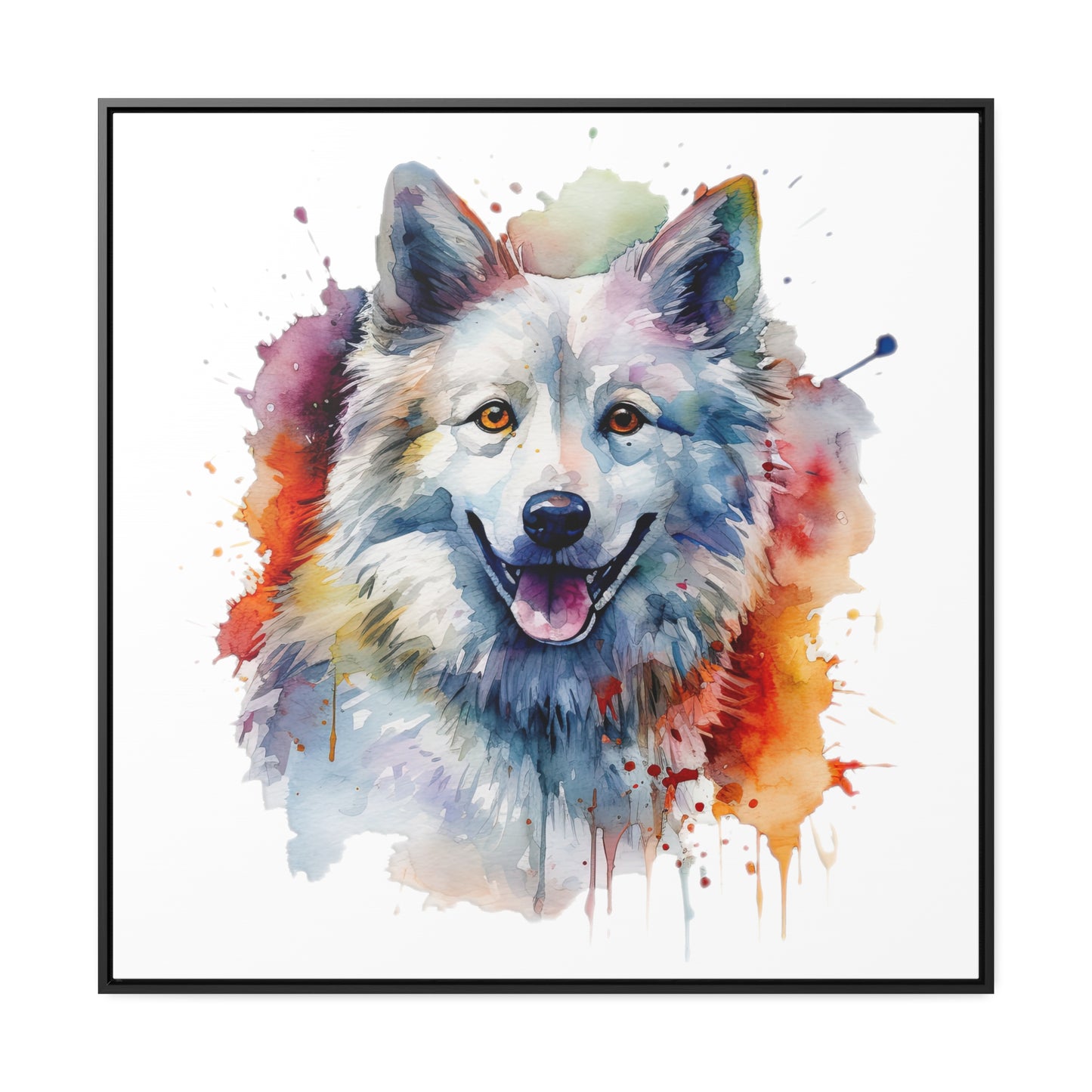 American Eskimo Dog 3 Gallery Canvas Wraps, Square Frame